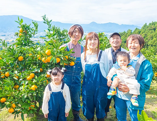 農場の様子その1