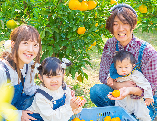 農場の様子その3