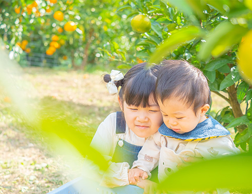 農場の様子その5