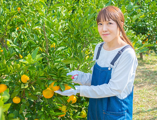 農場の様子その7