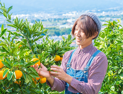 農場の様子その8